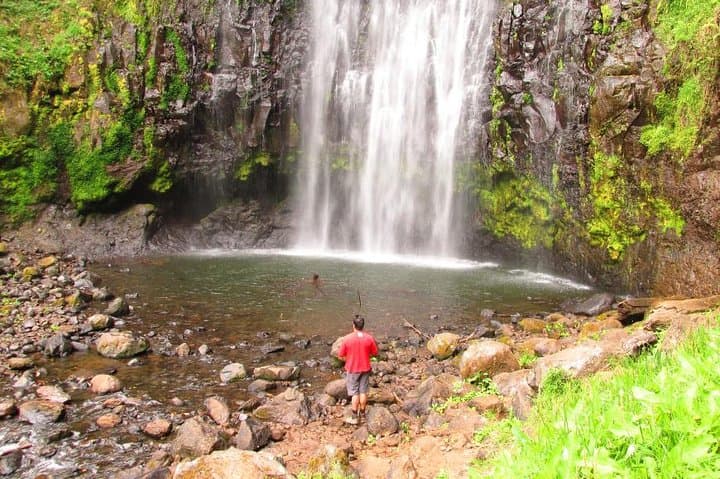 Materuni Waterfalls Day Hike: Coffee-Farm Trails & Cold Cascade near Moshi photo 3