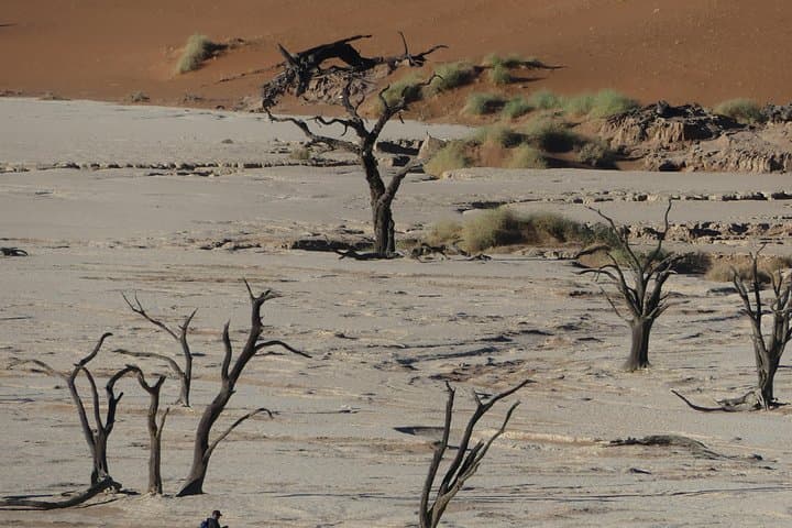 3-Day Private Sossusvlei Tour: Dune 45, Deadvlei & Sesriem Canyon photo 6