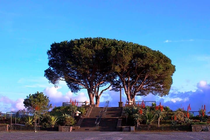Funchal to Curral das Freiras and Monte: Eira do Serrado Viewpoint Tour photo 2