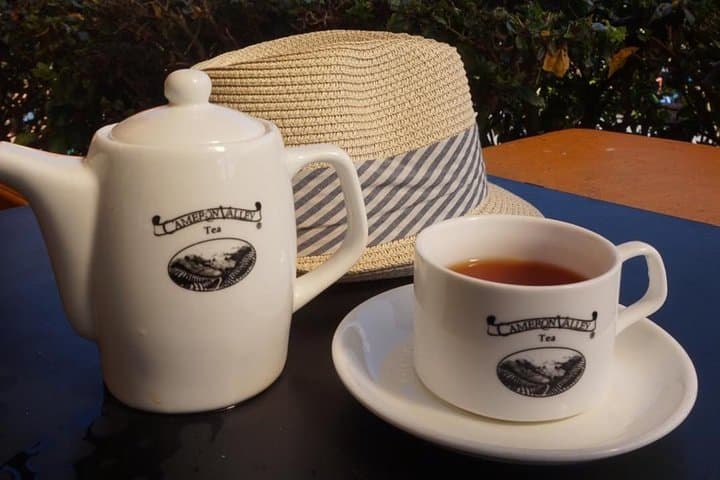 Cameron Highlands Day Tour from Ipoh — Tea Plantations, Kea Farm & Waterfall photo 3