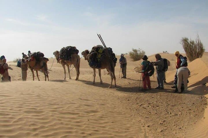 3-Day Tozeur Desert Trip — Camel Trek, Chott el Djerid & Night in the Grand Erg Oriental photo 1