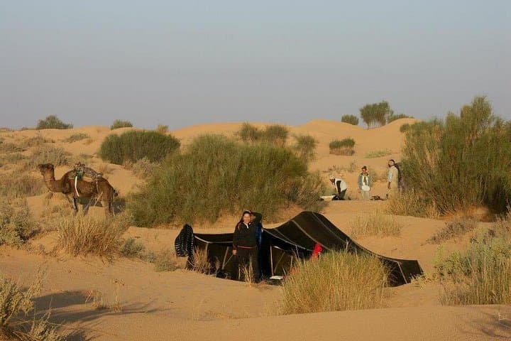 3-Day Tozeur Desert Trip — Camel Trek, Chott el Djerid & Night in the Grand Erg Oriental photo 4