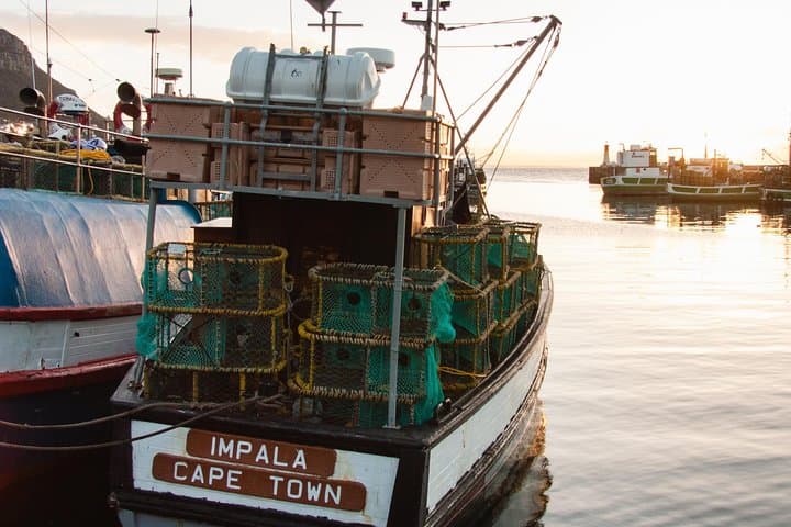 Private Cape Peninsula Day Tour — Chapman’s Peak, Cape Point & Boulders Beach in One Day photo 6