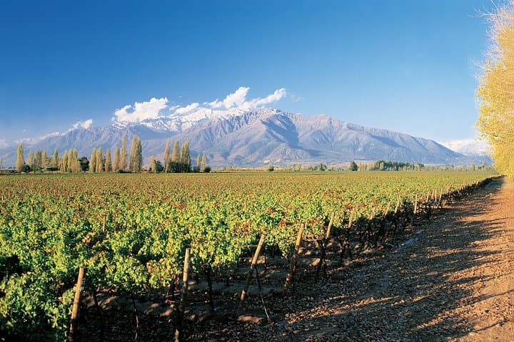 Embalse el Yeso & Concha y Toro: Private Maipo Valley Day Trip from Santiago
