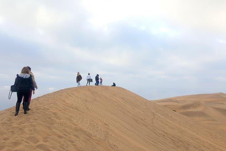 Private Day Tour: Concón, Viña del Mar & Valparaíso with Surfing, Horseback or Bike photo 5