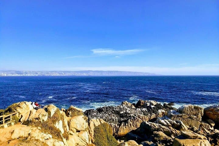 Coastal Colors: Private Valparaíso & Viña del Mar Day Trip from Santiago photo 4