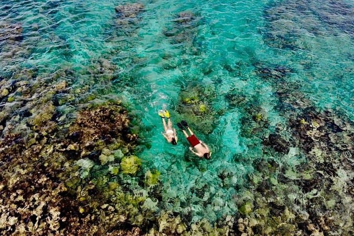Captain Bob Speed Boat Snorkel & Beach Tour in St Maarten — 5‑Stop Day Trip with Lunch photo 3