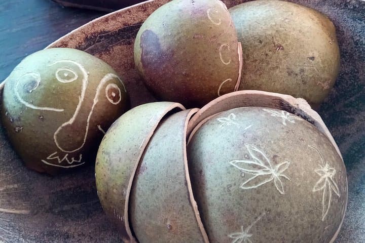 DIY Calabash Bowl Workshop in St. Lucia — Make a Wooden Souvenir from the National Tree photo 1