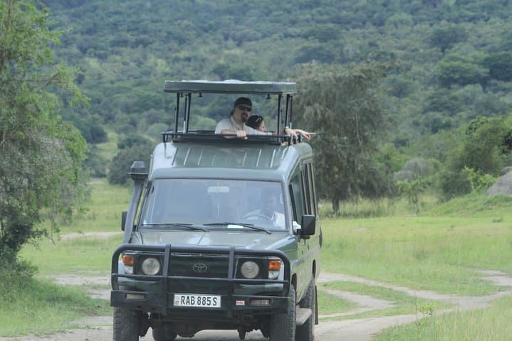 One-Day Akagera Game Drive: Private Wildlife Safari from Kigali