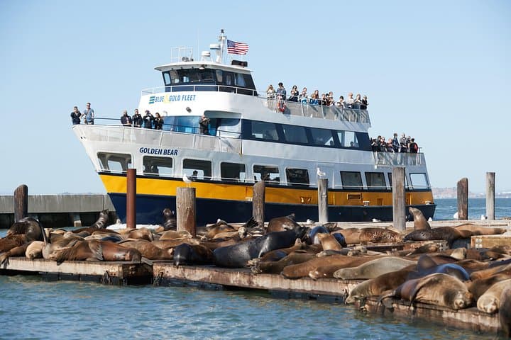 Escape from the Rock: 90-Minute Alcatraz & Golden Gate Cruise photo 6