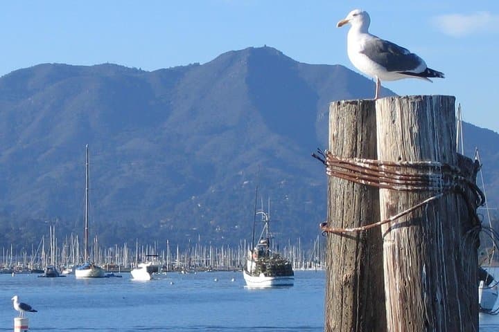 Sausalito Ferry from Pier 41: Scenic Bay Crossing to Sausalito photo 2