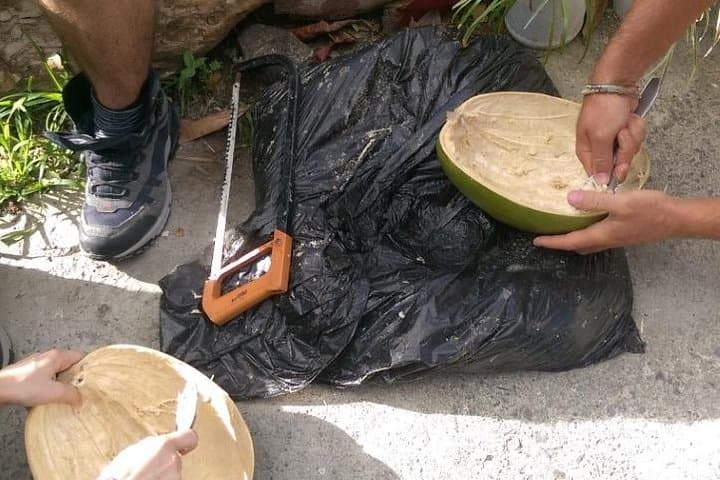 DIY Calabash Bowl Workshop in St. Lucia — Make a Wooden Souvenir from the National Tree photo 3