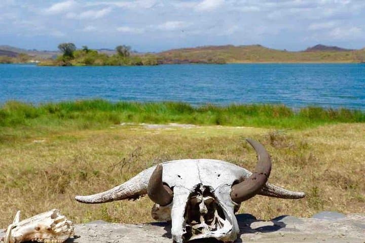 Arusha National Park: Walking and Canoe Safari Day Trip photo 3