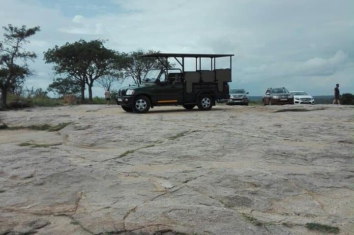 Kruger Half-Day Game Drive: Early-Morning & Afternoon Safari in Kruger National Park photo 2