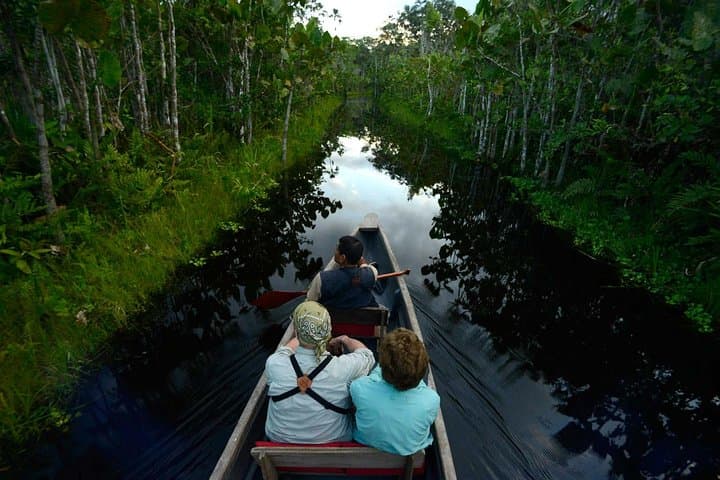 Yasuni Amazon: 5-Day Wildlife & Shuar Cultural Immersion