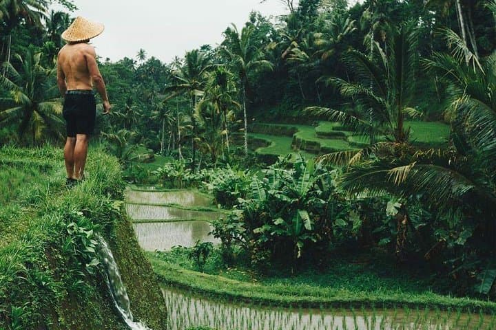 Best of Ubud: Full-Day All-Inclusive Cultural & Nature Tour