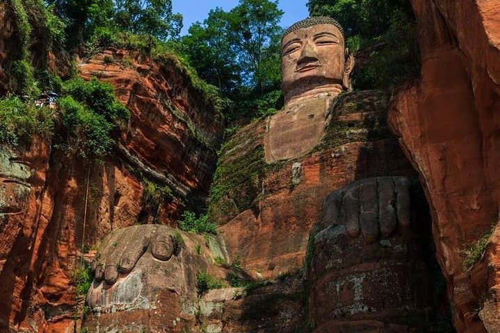 Early-Morning Pandas and Leshan Giant Buddha: Private Day Tour from Chengdu photo 3