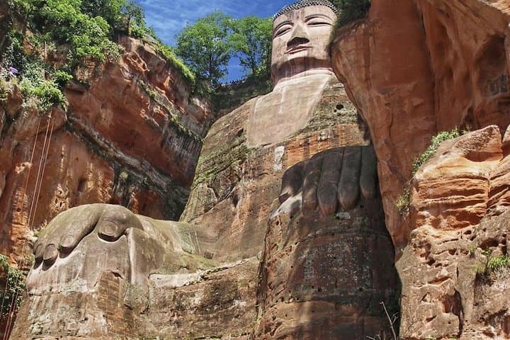 Early-Morning Pandas and Leshan Giant Buddha: Private Day Tour from Chengdu photo 5
