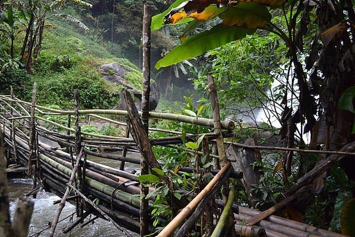 Doi Inthanon Sunrise Hike: Chiang Mai's Highest Peak, Twin Pagodas & Waterfalls photo 3