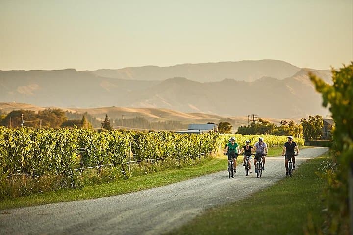 Half-Day Guided + Self-Guided Marlborough Bike Wine Tour: Ride, Taste, Explore photo 2