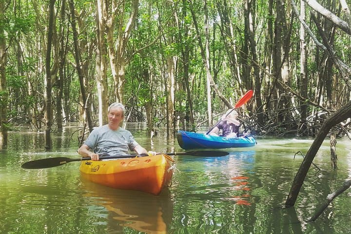 Khao Lak Mangrove Kayak Adventure: Hidden Rivers & Wildlife photo 2