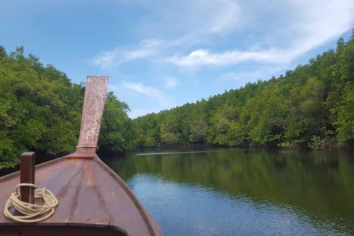 Khao Lak Mangrove Kayak Adventure: Hidden Rivers & Wildlife photo 3
