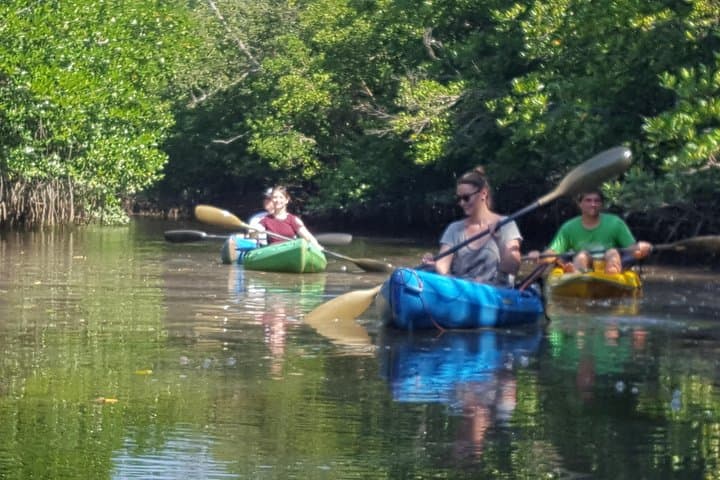 Khao Lak Mangrove Kayak Adventure: Hidden Rivers & Wildlife photo 5