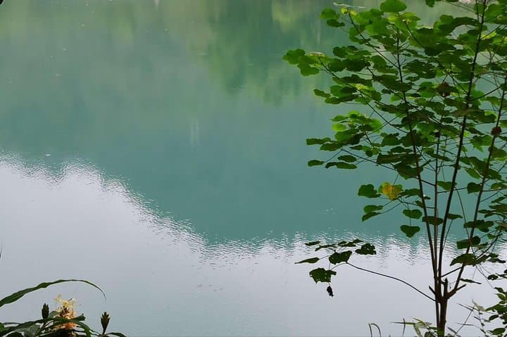 Chengdu Cultural Heritage & Panda Tour — 3-Day Pandas, Buddha and Emei Mountain