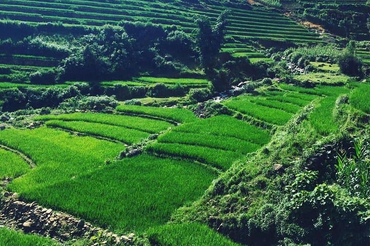 Overnight Sapa Trek: 2-Day Trekking Tour by Bus from Hanoi photo 4