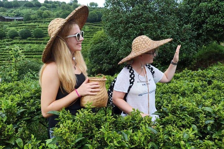 Chengdu Cultural Heritage & Panda Tour — 3-Day Pandas, Buddha and Emei Mountain photo 6