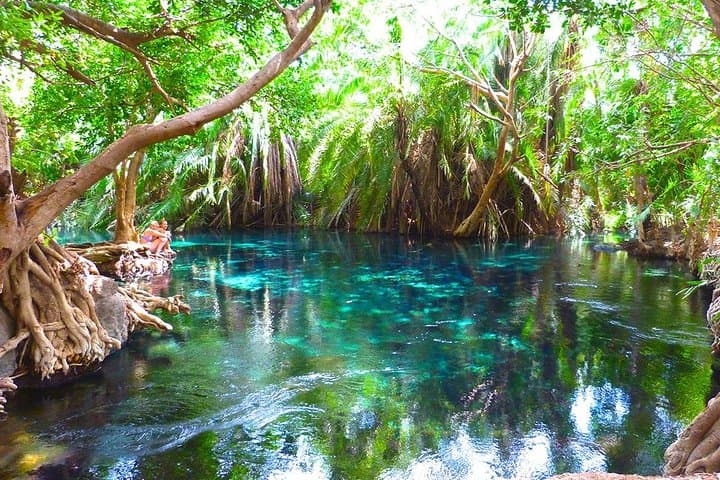 Chemka Hot Springs & Materuni Waterfalls Day Trip — Coffee Culture, Hot Pools and Sundowners photo 4