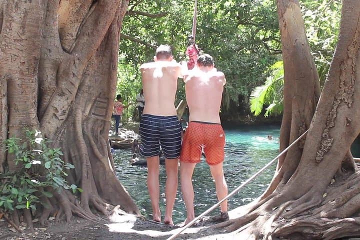 Chemka Hot Springs & Materuni Waterfalls Day Trip — Coffee Culture, Hot Pools and Sundowners photo 5