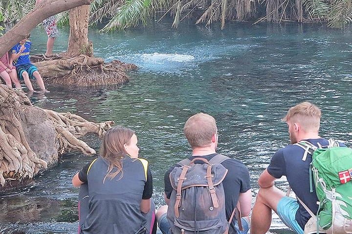 Chemka Hot Springs & Materuni Waterfalls Day Trip — Coffee Culture, Hot Pools and Sundowners photo 2