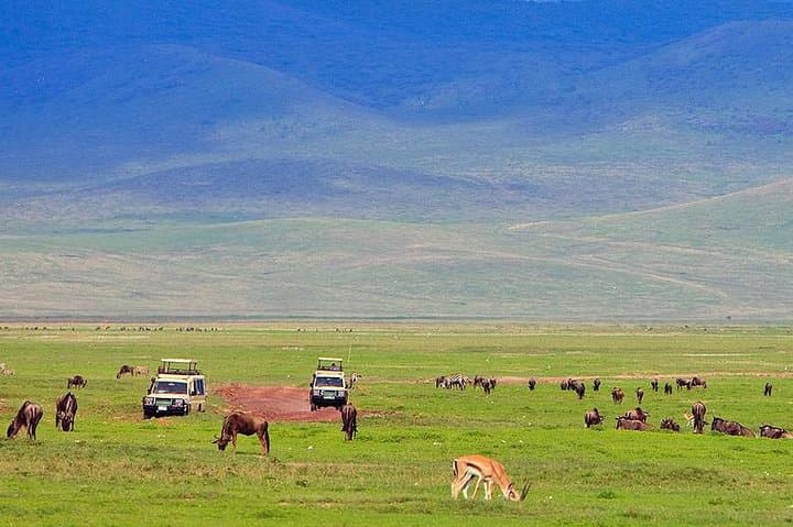 Ngorongoro Crater Exclusive Luxury Day Safari from Arusha photo 4
