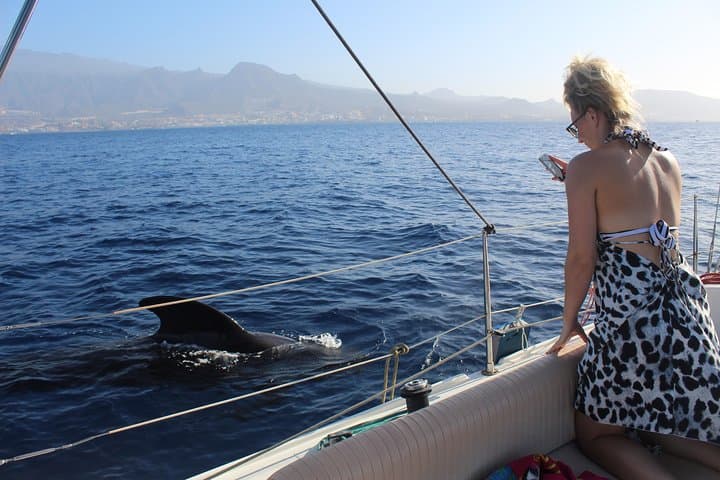 Tenerife Whale & Dolphin Small-Group Sailing from Puerto Colón photo 2