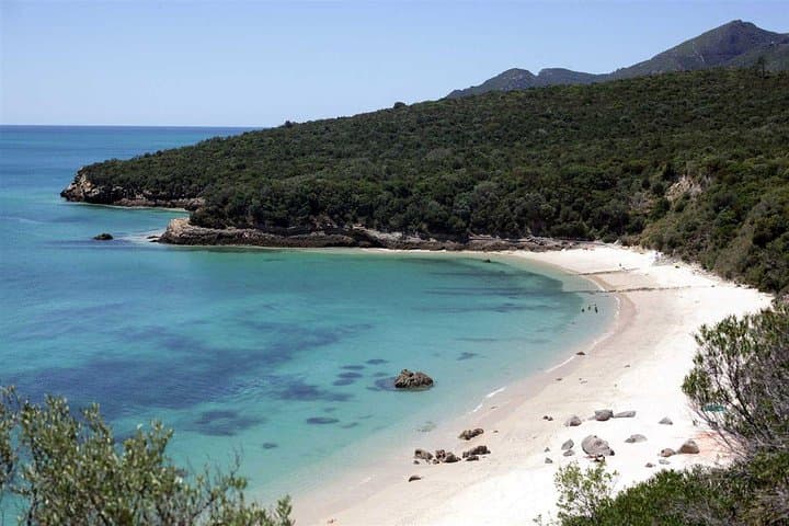 Arrábida Private Day Tour from Lisbon — Cliffs, Beaches & Azeitão Wines photo 4