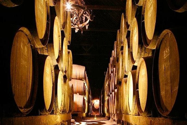 Arrábida Private Day Tour from Lisbon — Cliffs, Beaches & Azeitão Wines photo 5