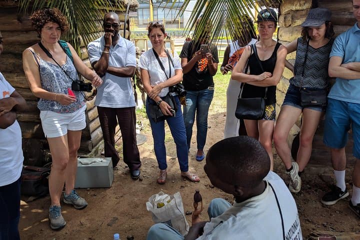 Explore Abidjan’s Plateau: Alternative City Walking Tour with Local Artisans