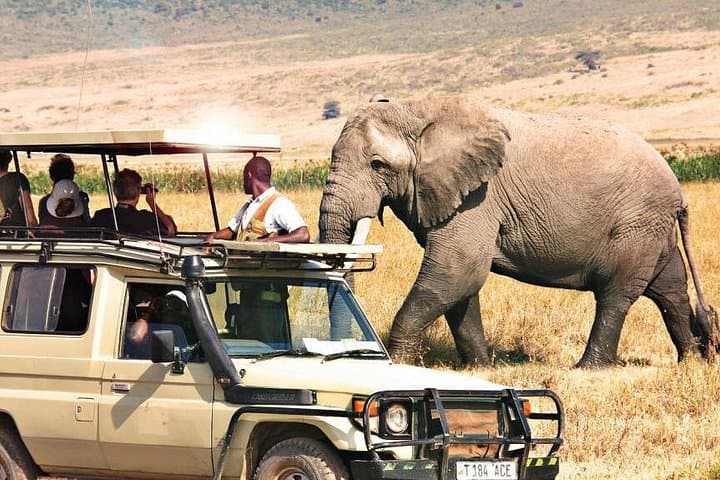 3-Day Samburu Luxury Safari: 4x4 Game Drives to See Grevy's Zebra and Reticulated Giraffe