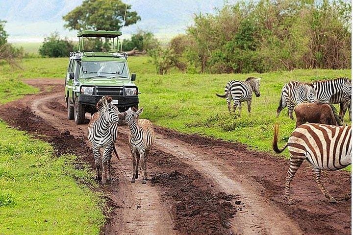 5-Day Tsavo East, Tsavo West & Amboseli Wildlife Safari from Mombasa photo 2