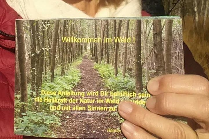 Shinrin-Yoku Forest Relaxation Near Luebeck: A Three‑Hour Nature Therapy Experience photo 4