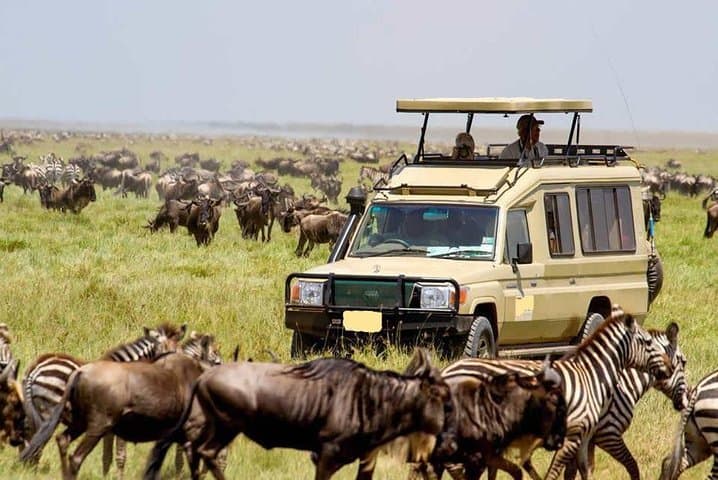 21-Day Kenya & Tanzania: Machame Kilimanjaro, Masai Mara Safari & Diani Beach Escape photo 4