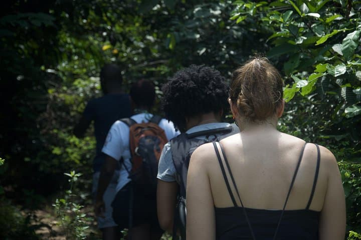 Découverte Bini Lagune: Half-Day Hike, Lagoon Lunch & Optional Canoe near Abidjan photo 3