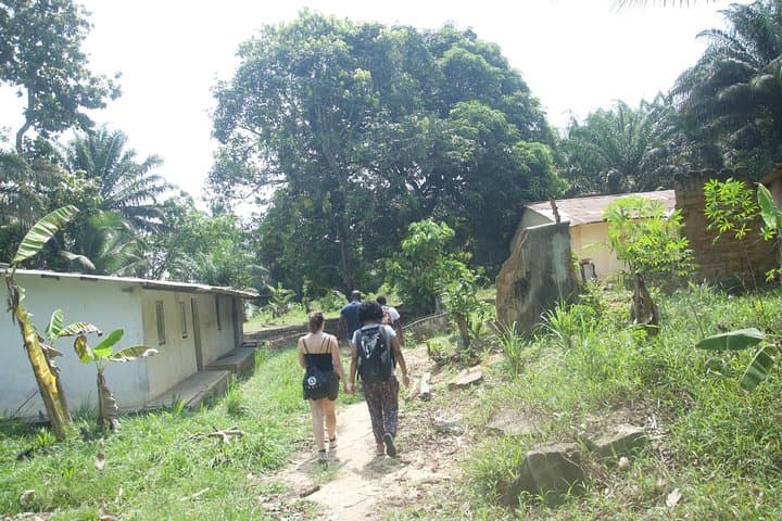Découverte Bini Lagune: Half-Day Hike, Lagoon Lunch & Optional Canoe near Abidjan photo 5