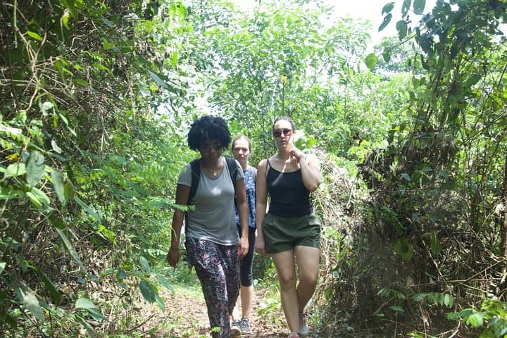 Découverte Bini Lagune: Half-Day Hike, Lagoon Lunch & Optional Canoe near Abidjan photo 4