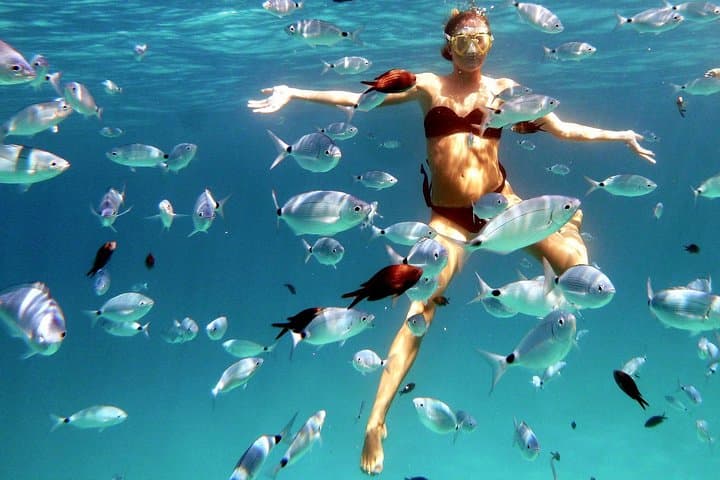 Kayak and Snorkel in Tavolara Marine Park — Proratora Islet & Local Aperitif photo 4