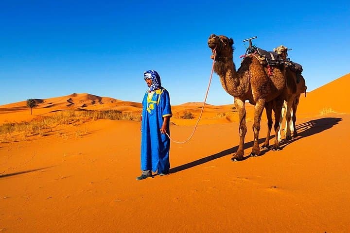 12-Day Classic Morocco: Marrakech to Merzouga & Imperial Cities