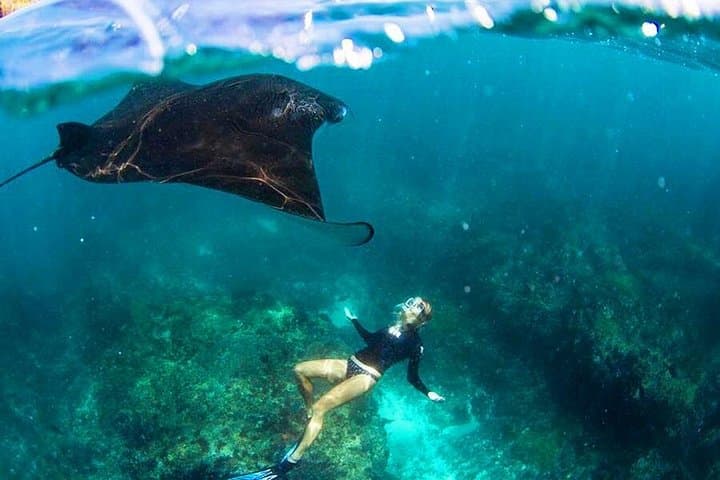 Nusa Penida Snorkeling & Kelingking Day Tour — Crystal Bay, Manta Points & T‑Rex Viewpoint photo 1