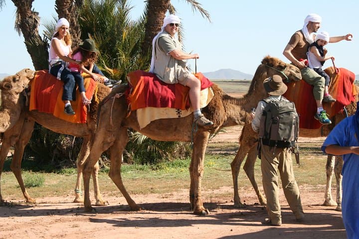 Marrakech Multi-Day Tours: Aït Ben Haddou, Ouzoud Falls, Essaouira & Palm-Grove Camel Ride photo 4