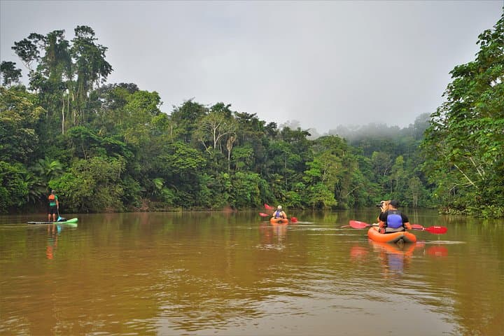 5-Day Amazon Camping and Kayaking in Yasuni National Park, Ecuador photo 2
